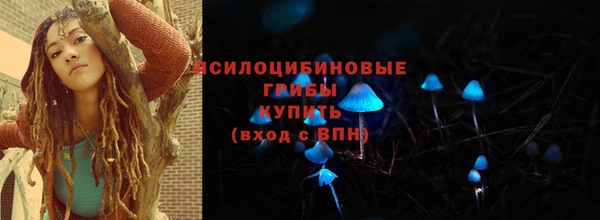 мдпв Богородицк