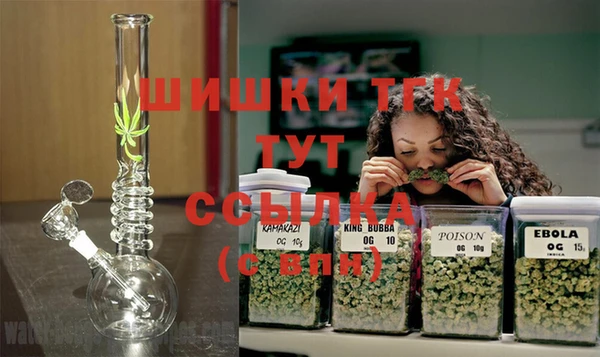 ПСИЛОЦИБИНОВЫЕ ГРИБЫ Белокуриха