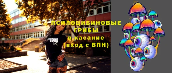 твердый Богородск