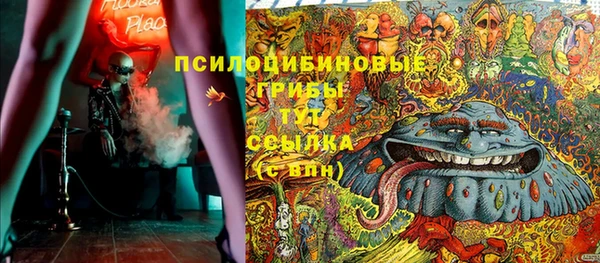 мдпв Богородицк