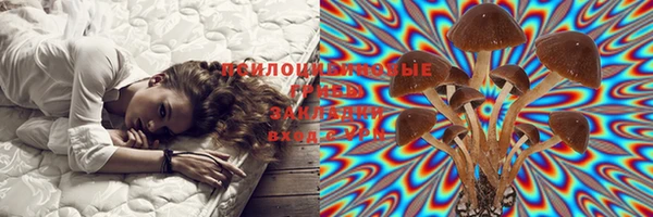 мдпв Богородицк
