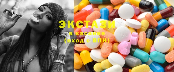 шишки Слюдянка