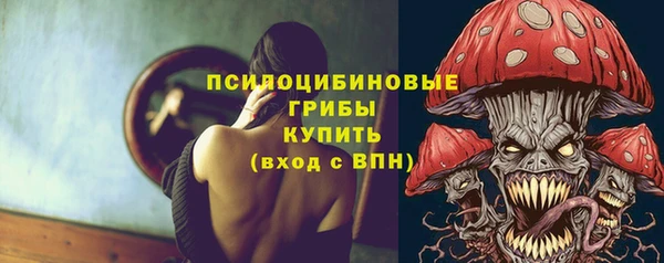 твердый Богородск